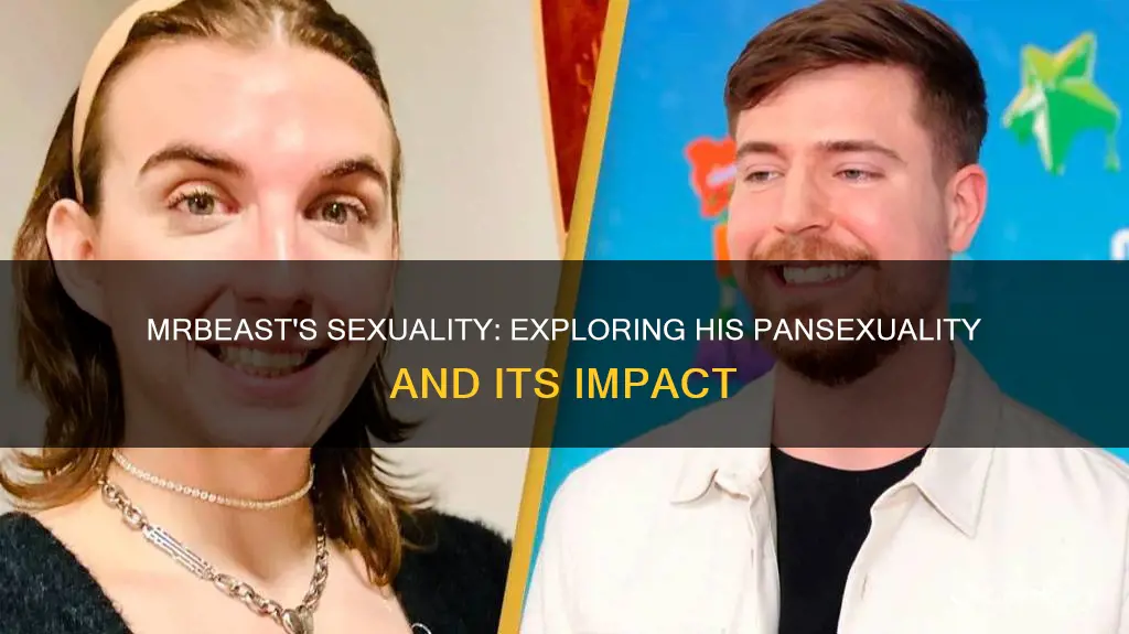 is mrbeast pan