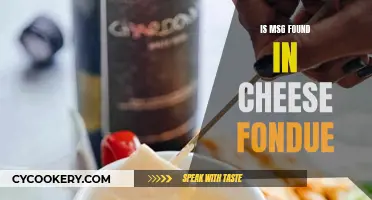 Cheese Fondue: Does it Contain MSG?