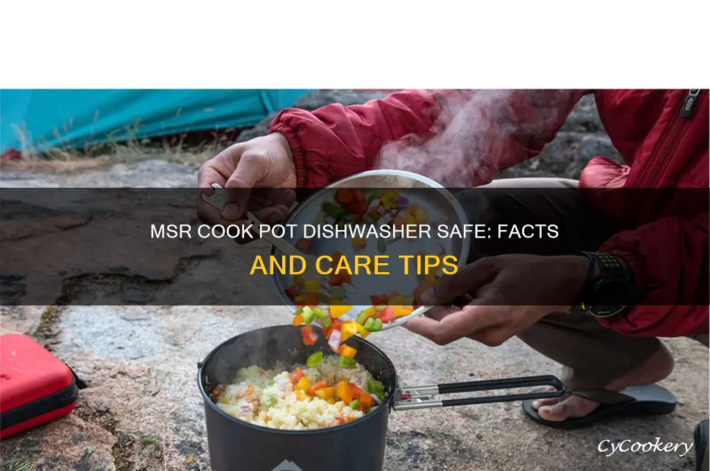 is msr cook pot dishwasher safe
