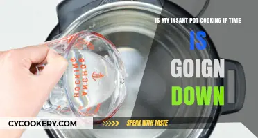 Instant Pot Countdown: Understanding Cooking Time and Progress