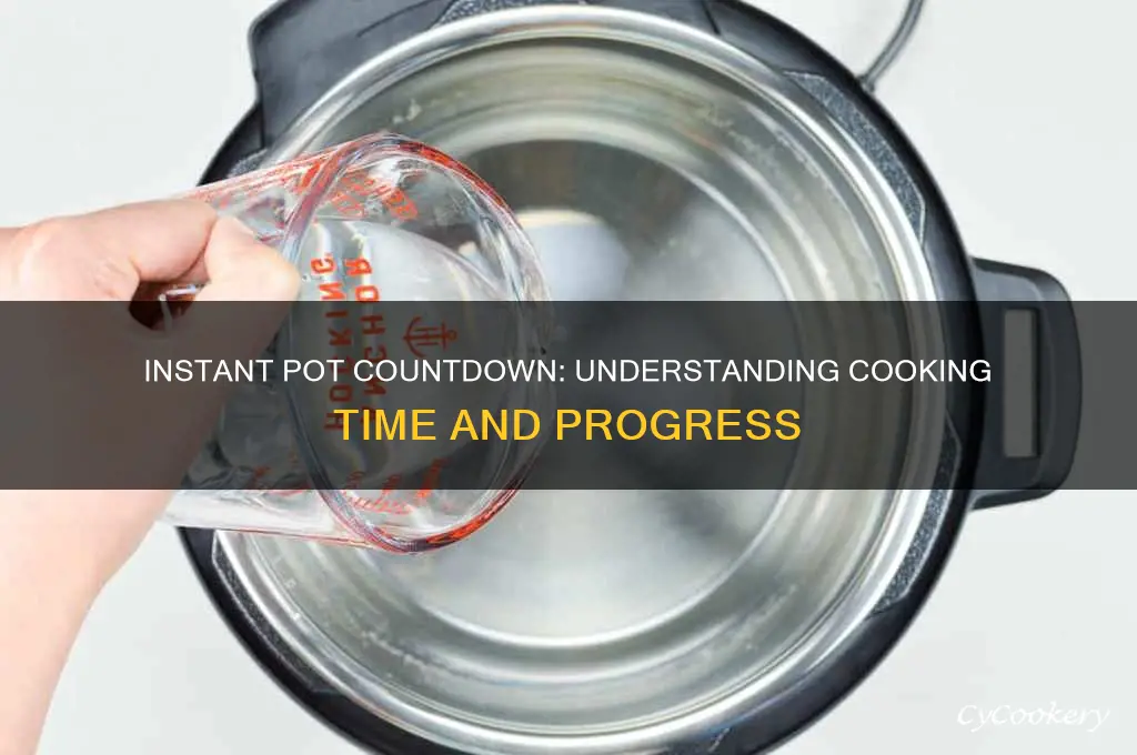 is my insant pot cooking if time is goign down