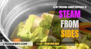 Steaming Pressure Cooker Sides: What's Normal?