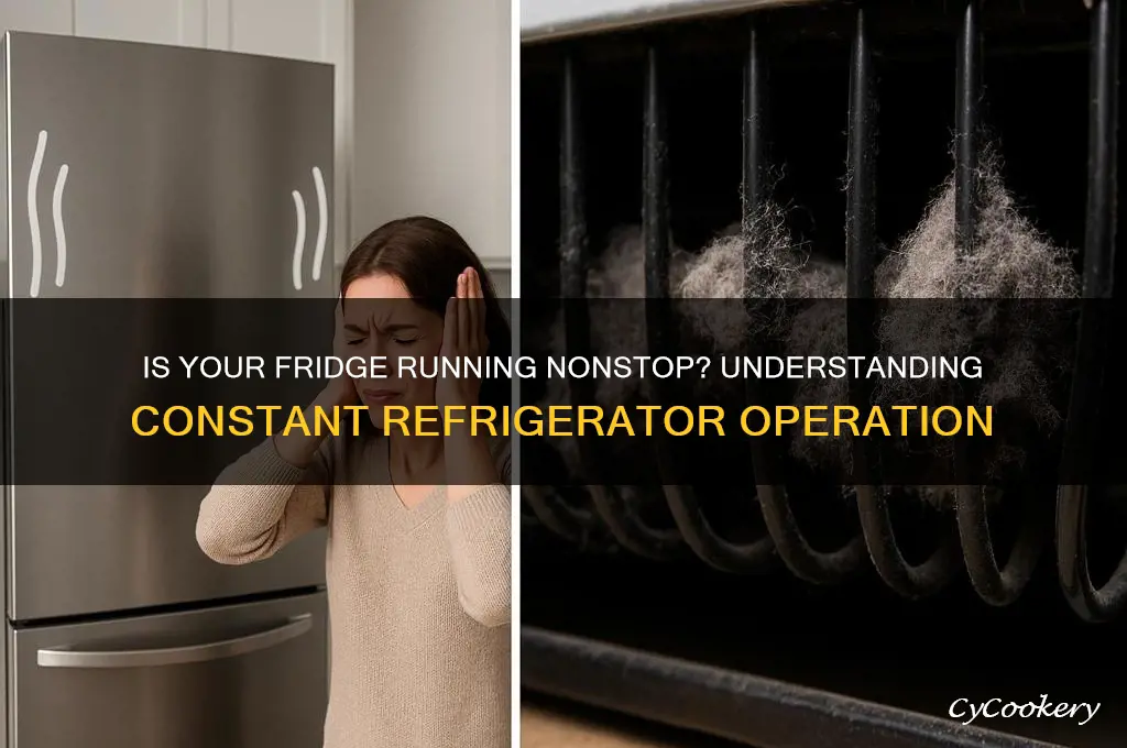 is my refrigerator supposed to run constantly
