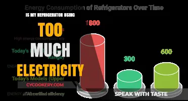 Is Your Fridge an Energy Hog? Check Its Power Usage
