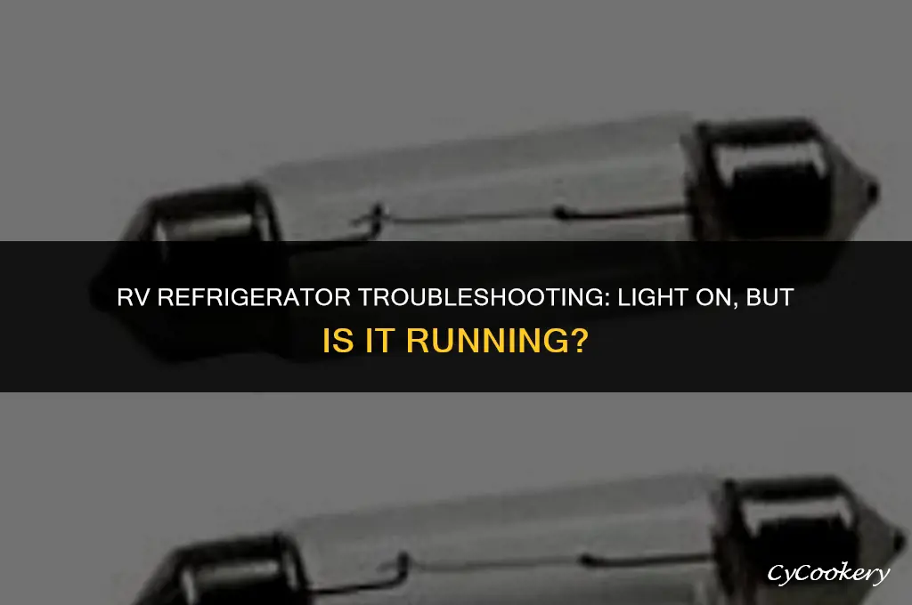 is my rv refrigerator running if light of