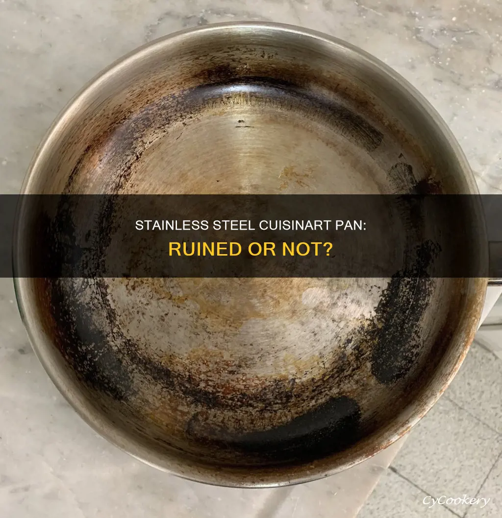 is my stainless steel cuisinart pan ruined