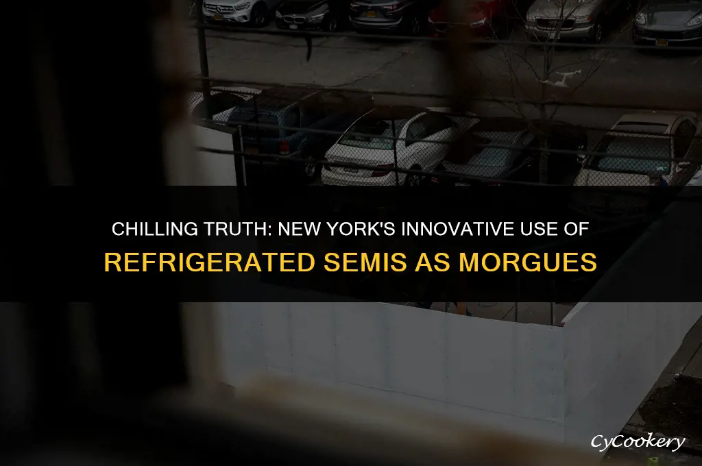 is new york using refrigerated semis as morgues
