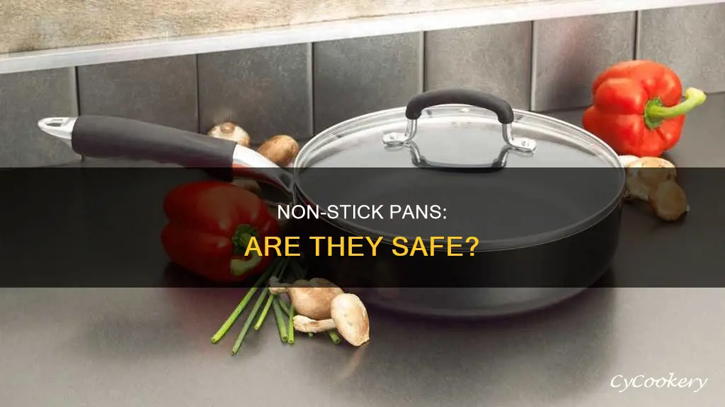 is non stick pan dangerous ncbi