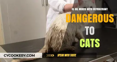 The Hidden Dangers of Oil and Refrigerant Mixtures for Feline Friends