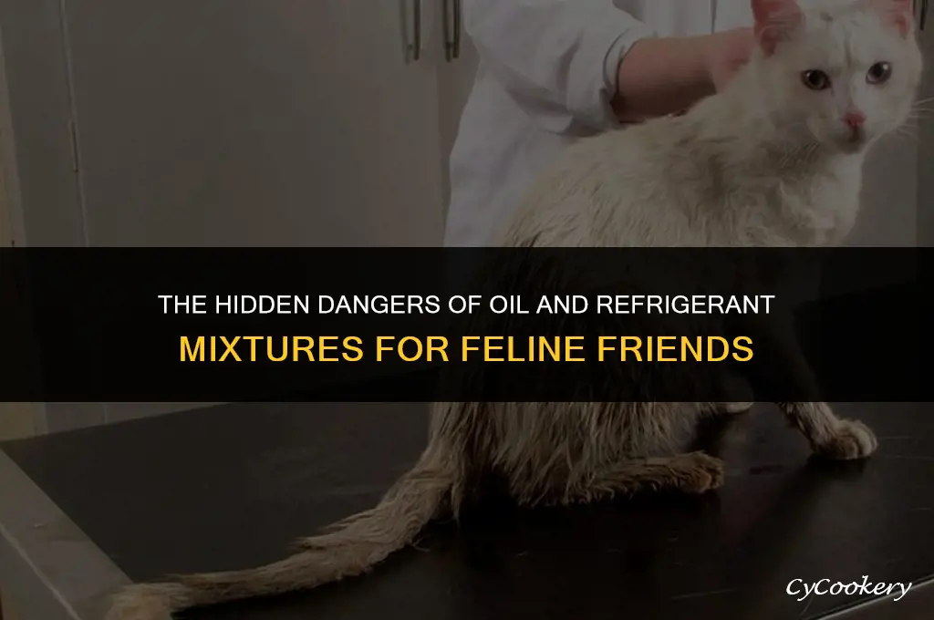 is oil mixed with refrigerant dangerous to cats