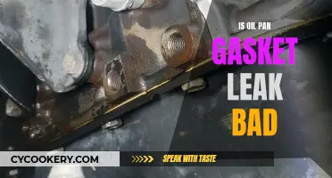 Oil Pan Gasket Leaks: Bad, Worse, or Catastrophic?