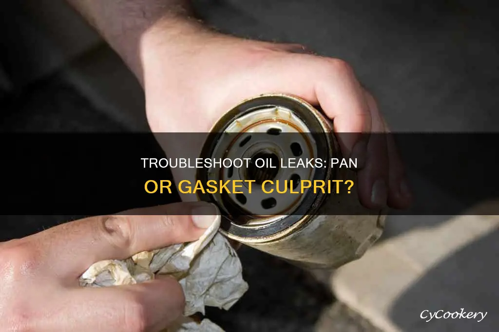 is oil pan or oil gasket caysing leak on ground