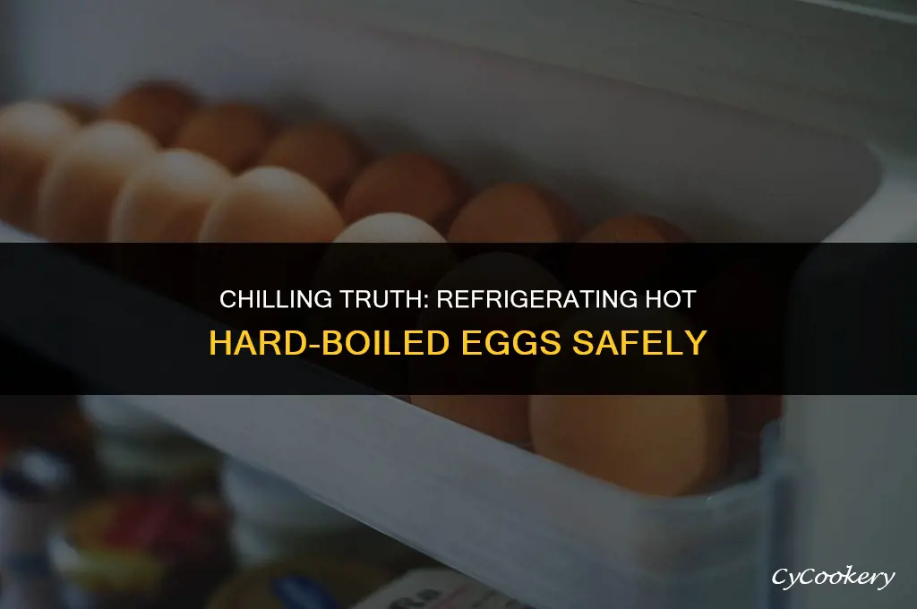 is ok to put hot hardboiled eggs in refrigerator