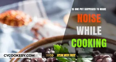 Is Your One Pot Cooking Noisy? Understanding Normal Sounds