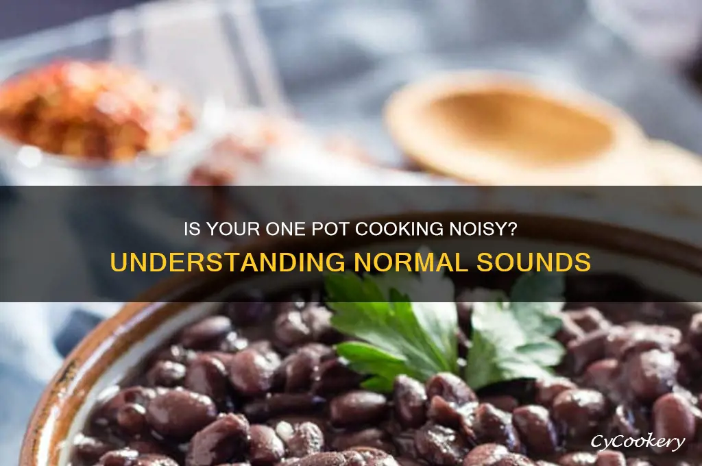 is one pot supposed to make noise while cooking