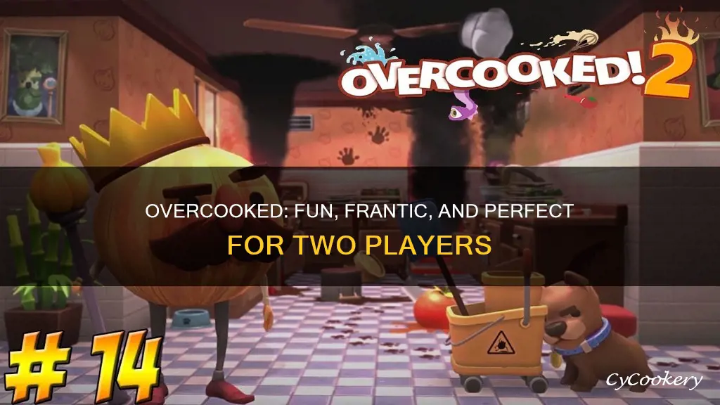 is overcooked a 2 player game