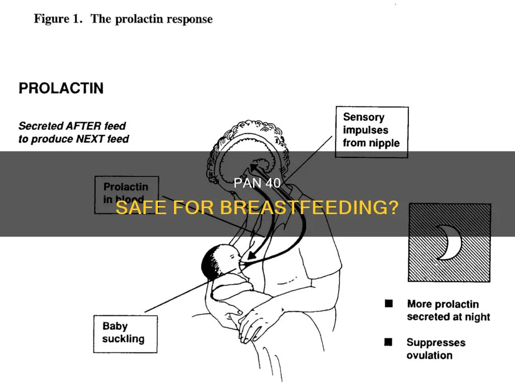 is pan 40 safe during breastfeeding