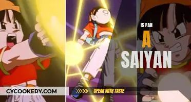 Unveiling the Saiyan Mystery: Is Pan a True Powerhouse?