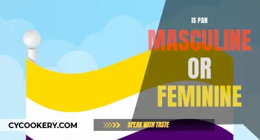 Masculine or Feminine? Understanding the Gender of 'Pan