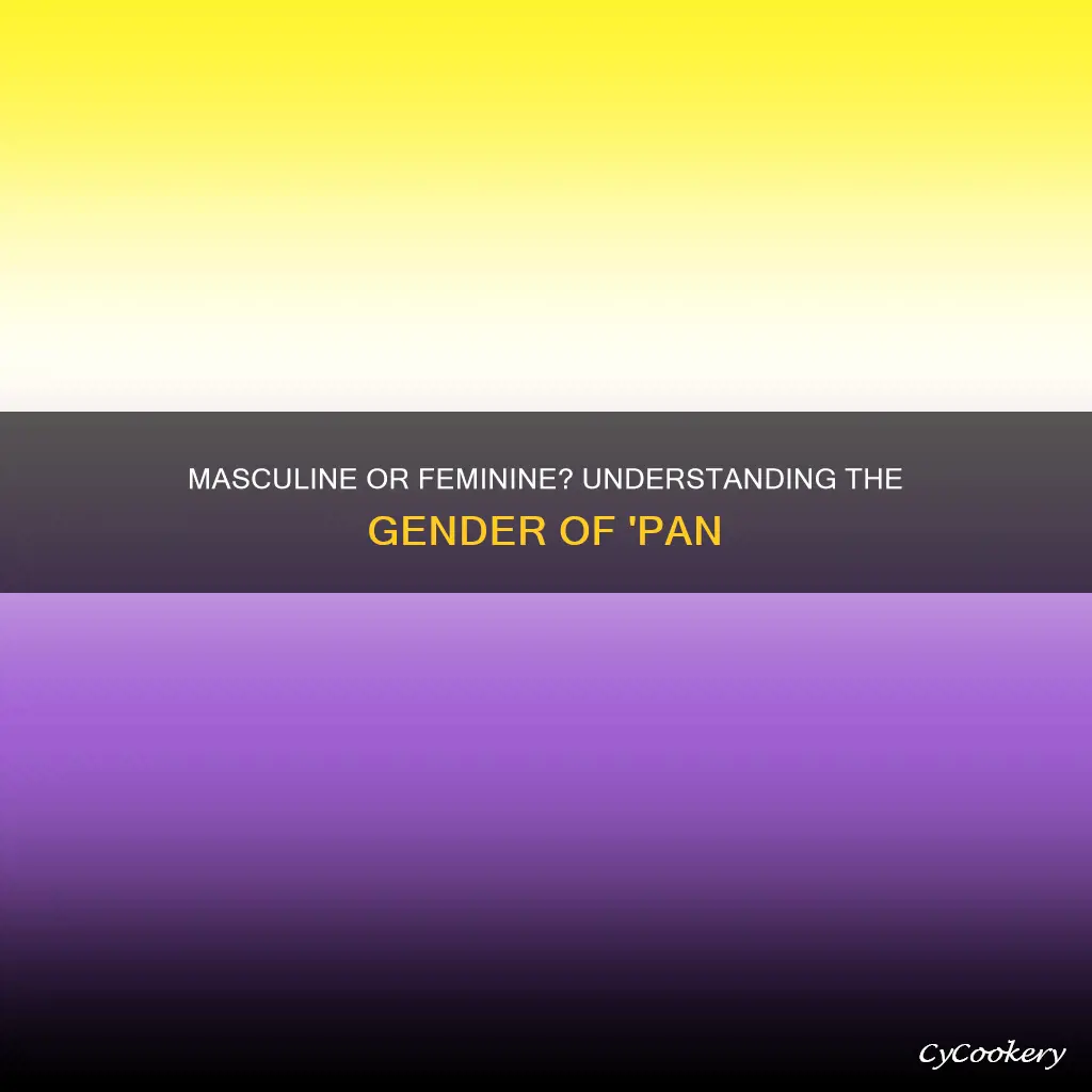 is pan masculine or feminine