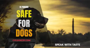 Panado for Pooches: Safe or Not?