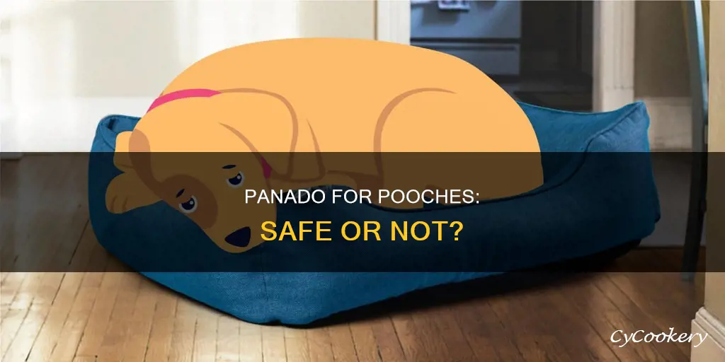 is panado safe for dogs