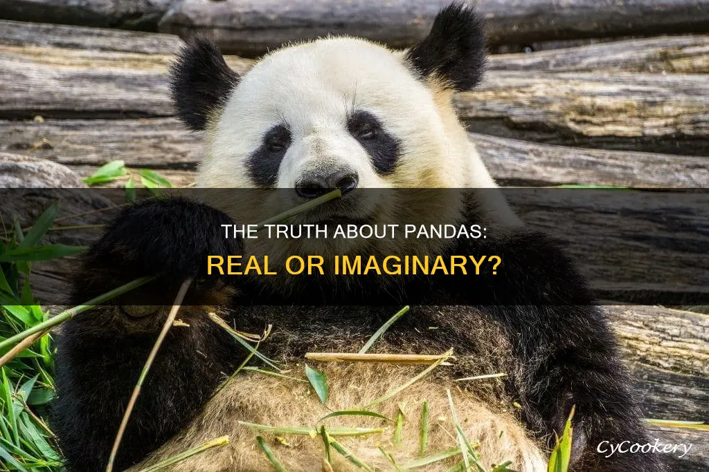 is pandas real