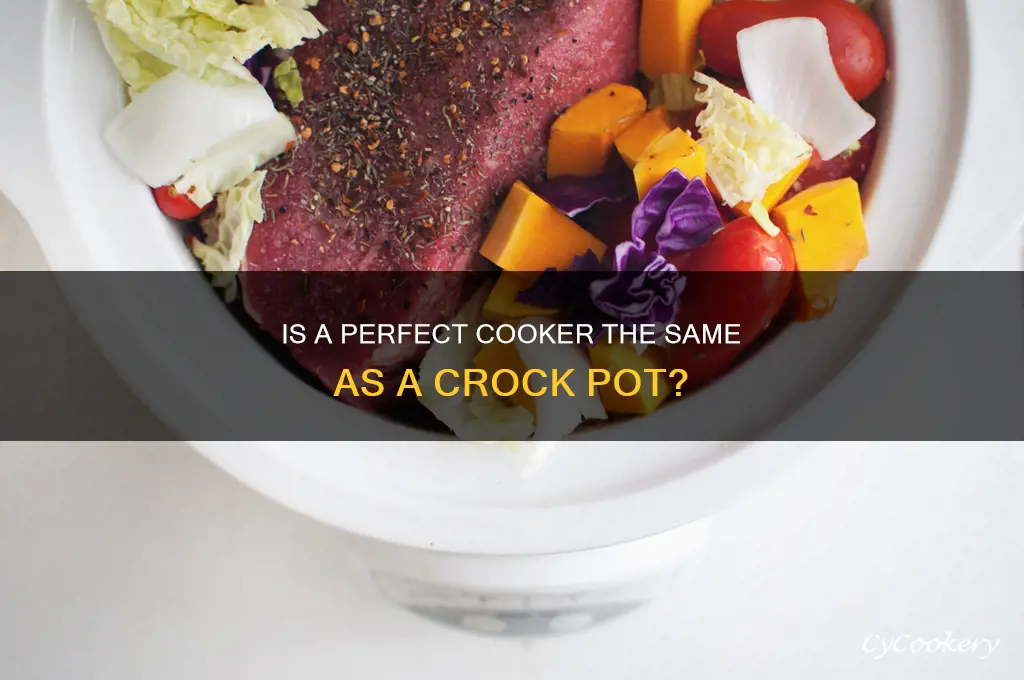 is perfect cooker a crock pot