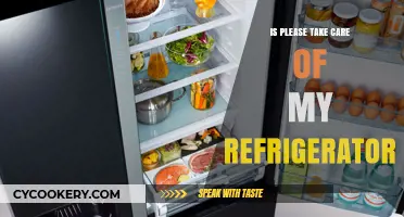 Please Take Care of My Refrigerator: A Culinary Adventure Unveiled