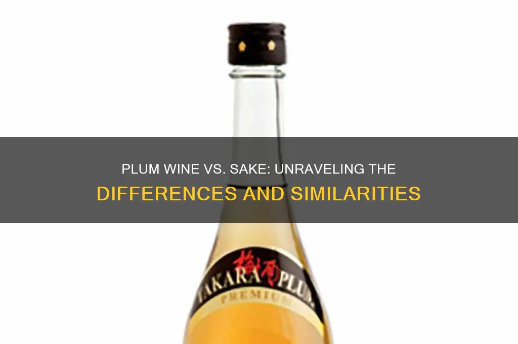 is plum wine sake