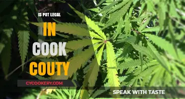 Is Pot Legal in Cook County? Understanding Cannabis Laws in Illinois