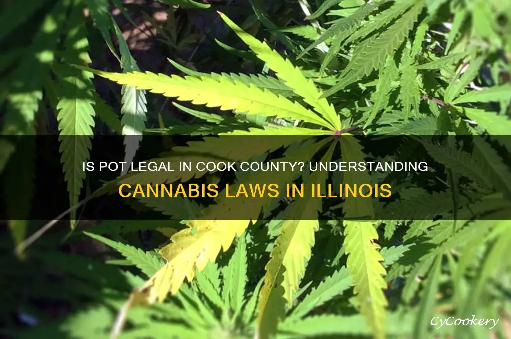 is pot legal in cook couty