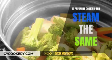 Steam vs Pressure Cooking: What's the Difference?