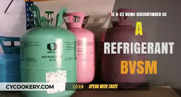 The Future of Refrigeration: Is R-22 Being Phased Out?