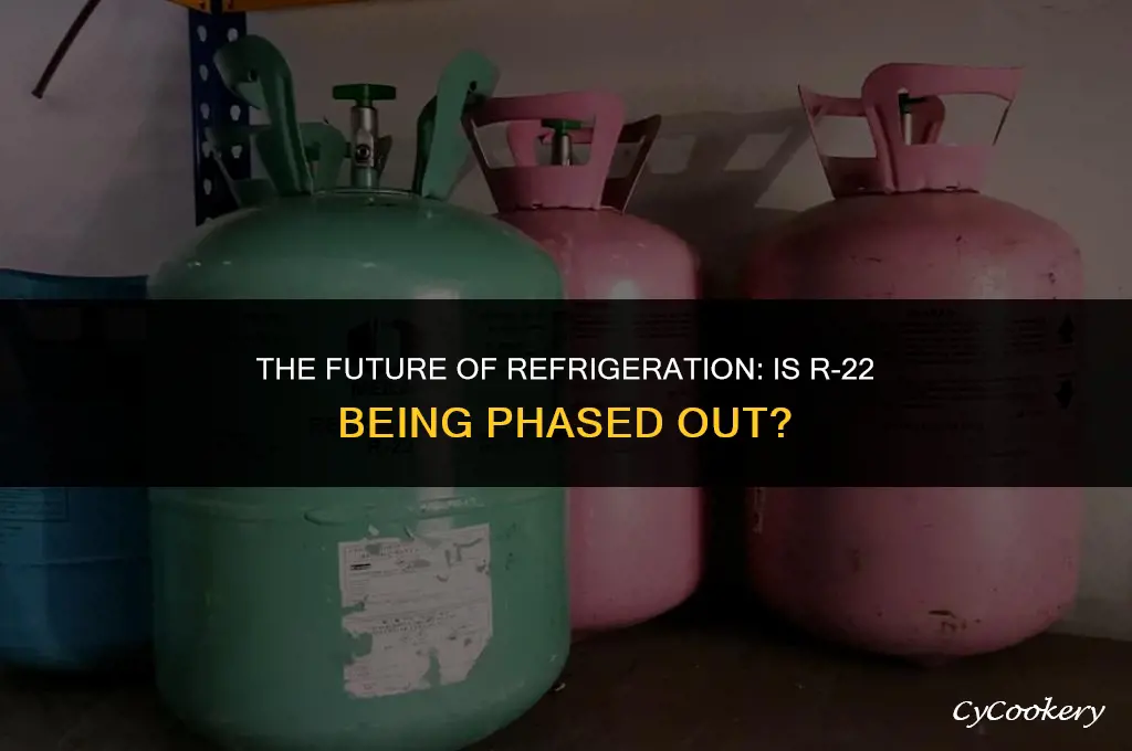 is r-22 being discontinued as a refrigerant bvsm