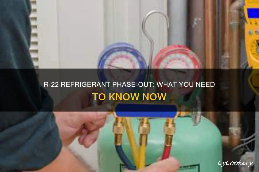 is r-22 refrigerant being phased out