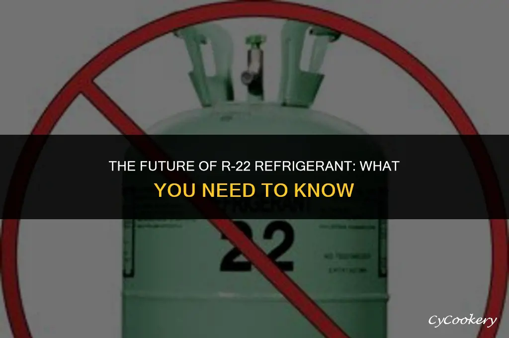 is r-22 refrigerant going to be illegal
