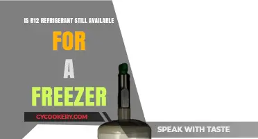 Exploring the Availability of R12 Refrigerant for Freezers Today