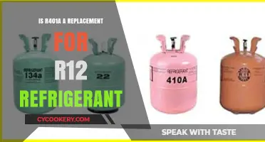 R401A: A Viable Alternative to R12 Refrigerant?