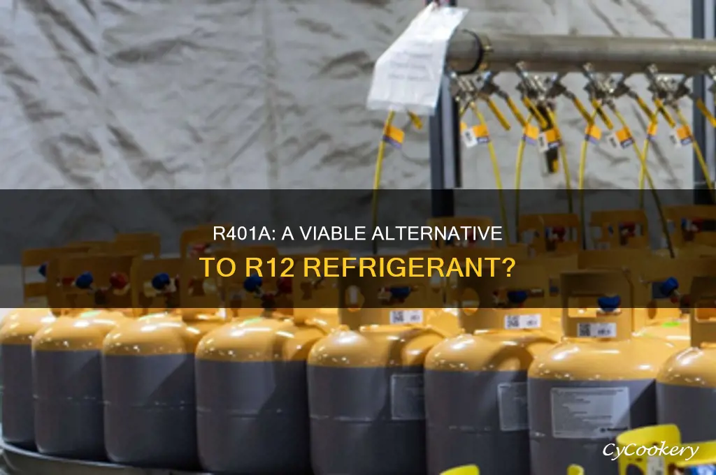 is r401a a replacement for r12 refrigerant