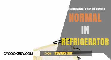 Is Rattling Noise from Air Damper Normal in Refrigerator?