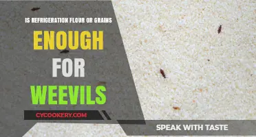 Chilling Insights: Does Refrigeration Keep Weevils at Bay in Flour and Grains?
