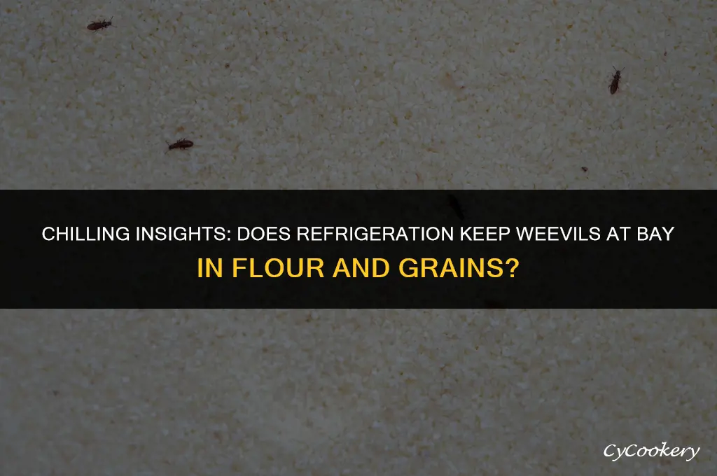 is refrigeration flour or grains enough for weevils