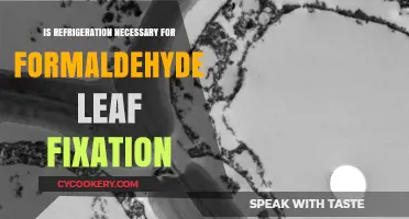 Refrigeration vs. Room Temperature: Optimal Formaldehyde Leaf Fixation Methods