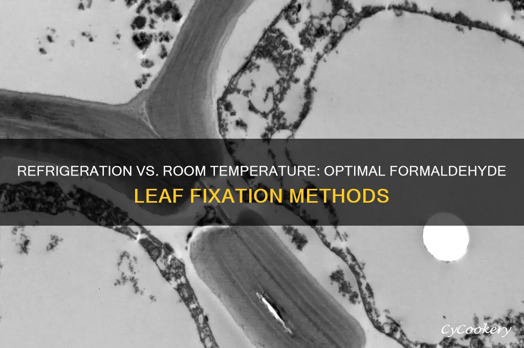 is refrigeration necessary for formaldehyde leaf fixation