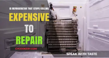 Chilling Concerns: The Cost of Repairing a Faulty Fridge