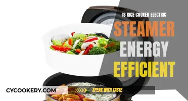 Rice Cooker-Steamer: Energy Efficiency and Cost Savings?