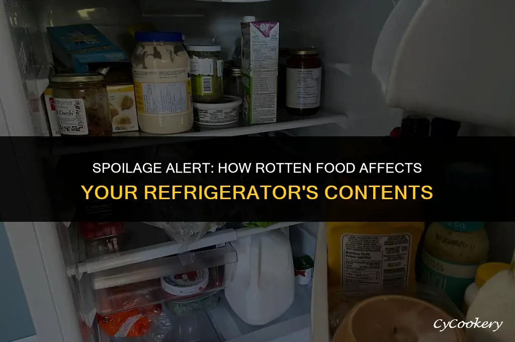is rotten food in refrigerator harmful to other foods