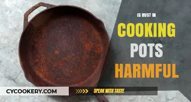 Rust in Cooking Pots: Health Risks and Safe Kitchen Practices