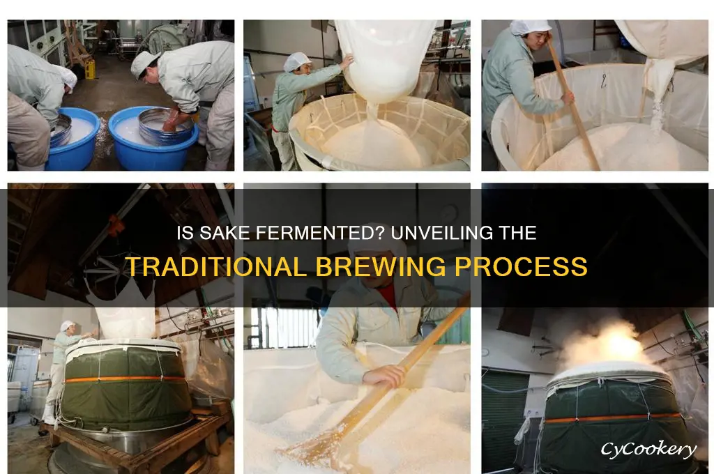 is sake fermented